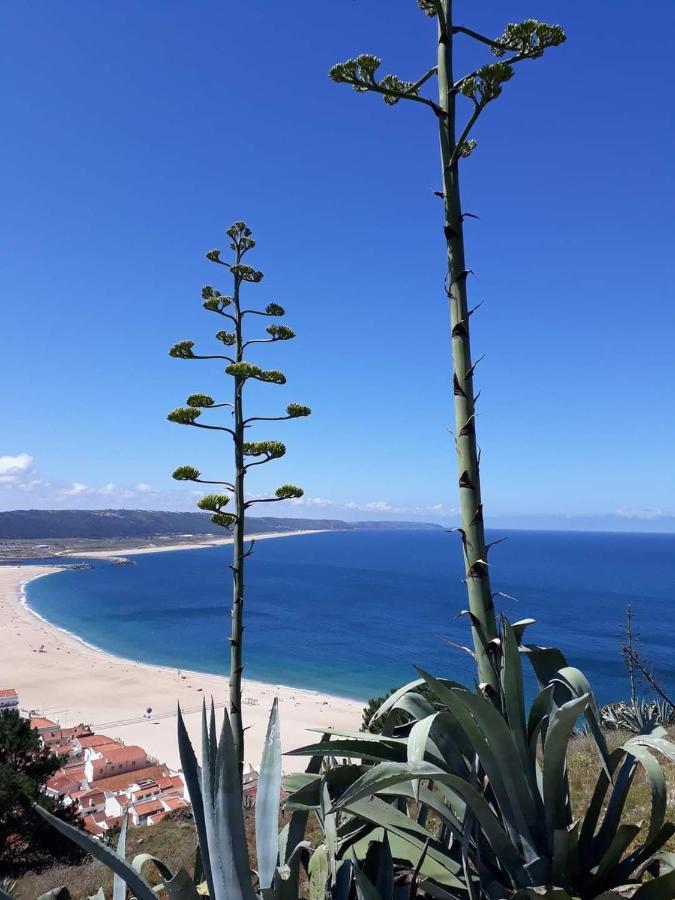 Refugio Villa Mar Nazaré Exteriér fotografie